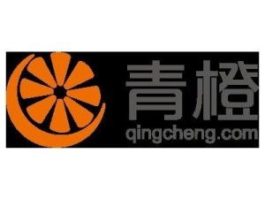 上海青橙實業(yè)與上海實業(yè) 探究企業(yè)名稱背后的戰(zhàn)略定位與市場角色