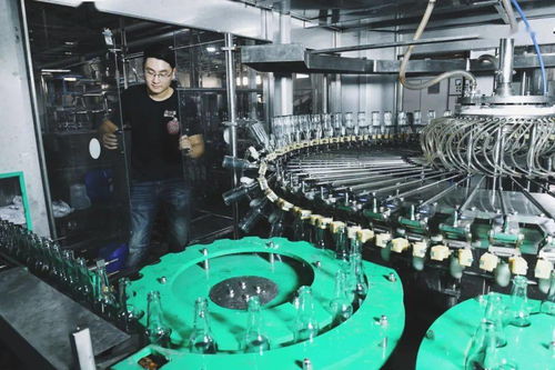 奉賢三寶煥新篇 火山荔枝、黃桃與桂花酒釀的汽水電商之旅